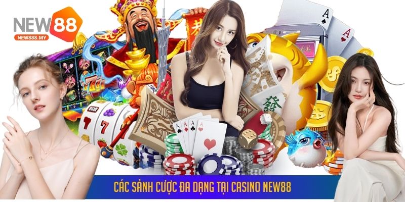 Các sảnh cược đa dạng tại Casino New88